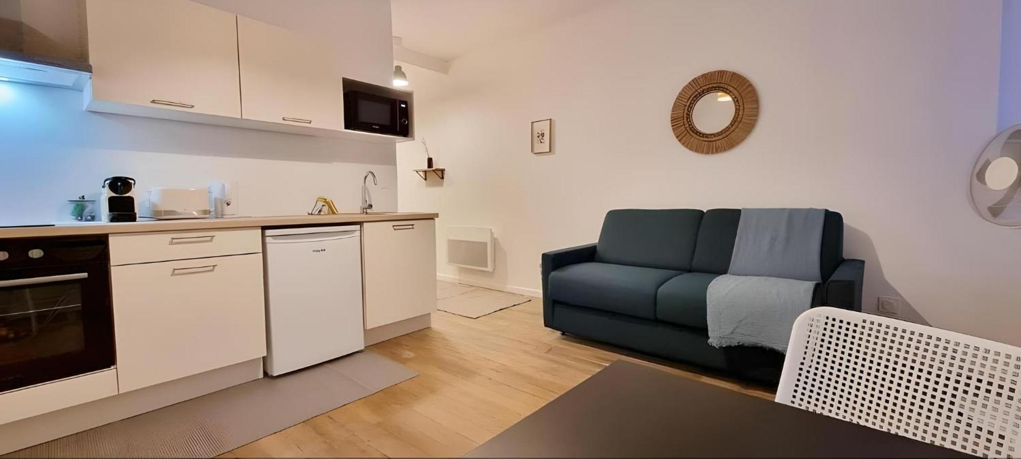 Large Studio Lumineux Et Neuf, Parking Gratuit Шатору Экстерьер фото